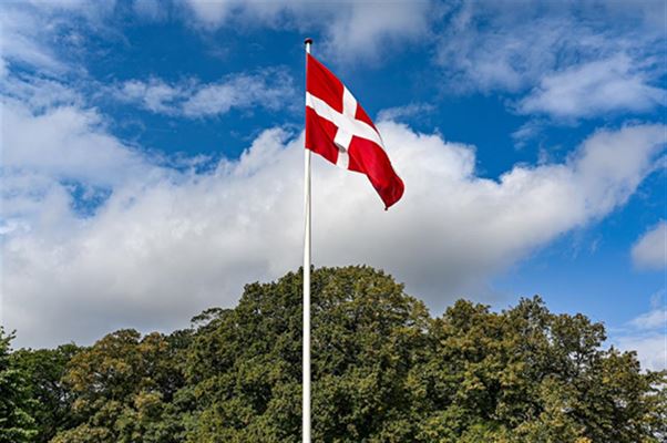 Gør noget ekstra ud af de særlige dage med et Dannebrogsflag