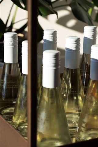 Vin nyheder har været populære i mange år, da vin er en fast bestanddel i kulturer over hele verden